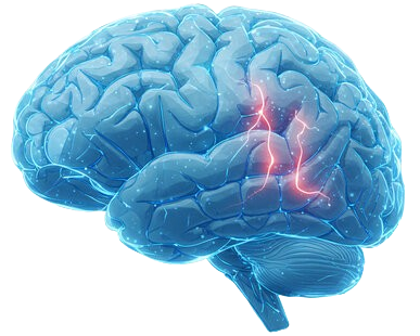 360 F 1750298136 nOOrx7Ihqu1BRfDh6Fn7NpiMAJFs1LRM removebg preview e1770038911326