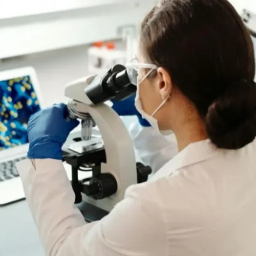 Untitled design 2026 02 04T141304.973