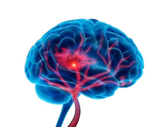 istockphoto 1249957366 612x612 removebg preview