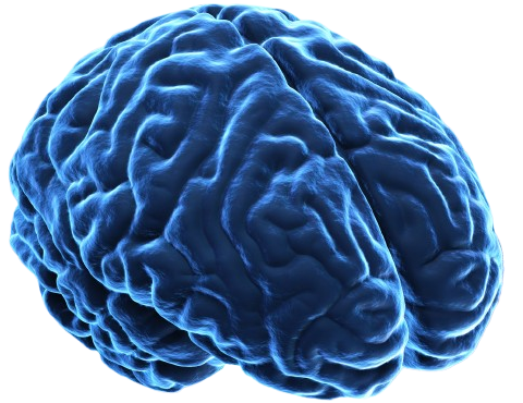 keyvisual brain removebg preview e1770039331870