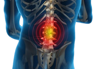 lowerback top removebg preview e1770039143916